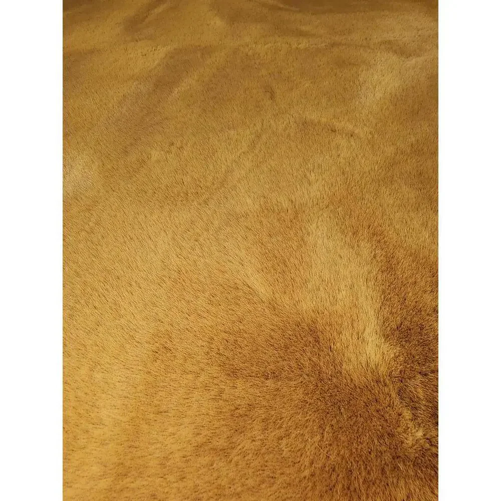 NEW Silhouette Home Orange Accent Area Rug 29